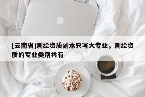 [云南省]測繪資質副本只寫大專業，測繪資質的專業類別共有