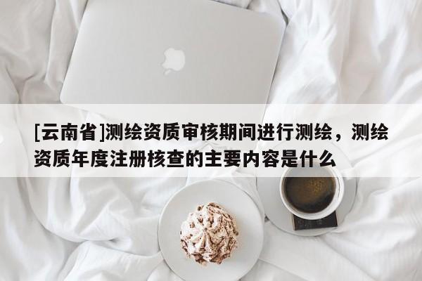 [云南省]測繪資質審核期間進行測繪，測繪資質年度注冊核查的主要內容是什么