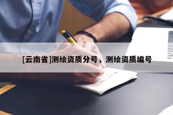 [云南省]測繪資質分號，測繪資質編號
