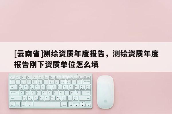 [云南省]測繪資質年度報告，測繪資質年度報告剛下資質單位怎么填