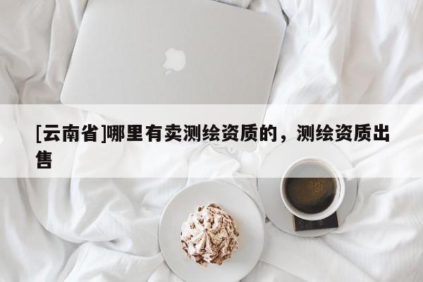 [云南省]哪里有賣測繪資質的，測繪資質出售