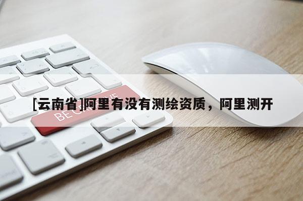 [云南省]阿里有沒有測繪資質，阿里測開